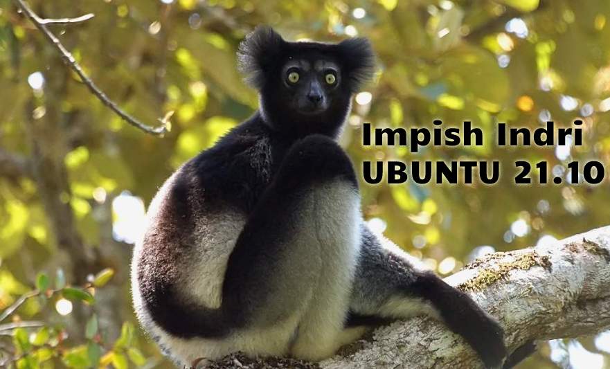 Impish Indri Ubuntu 21.10